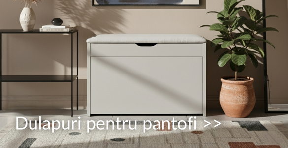 Dulapuri pentru pantofi