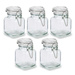 Set 5 borcane din sticla pentru condimente, 90 ml
