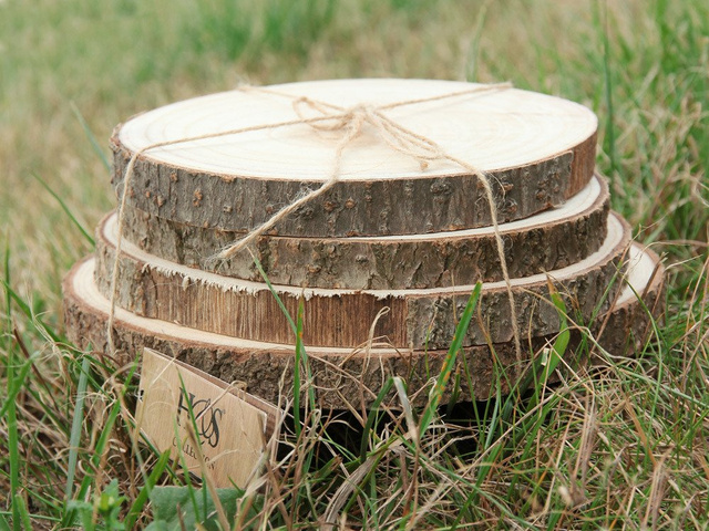 Suporturi din lemn NATURAL pentru farfuri, set de 4