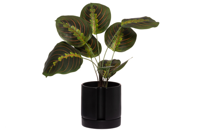 Covor rotund din bumbac cu litere, Ø 120 cm 