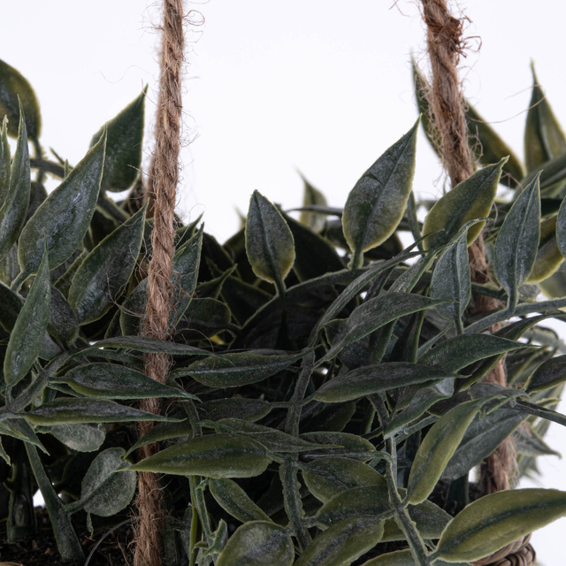 Plantă suspendată PATRI Ø 14 cm cu ghiveci din fibre naturale