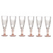 Set 6 pahare pentru sampanie,170 ml