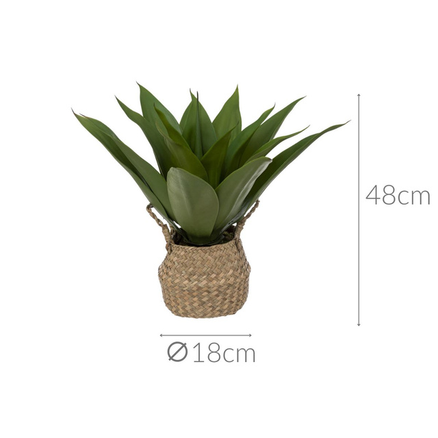 Planta artificiala AGAWA in cos, 48 cm