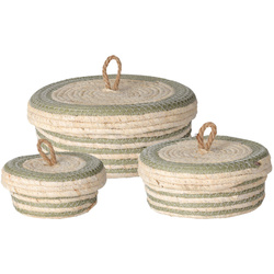 Recipiente de depozitare cu capac, 3 buc