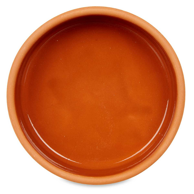 Vas de ceramica, vas cu interior vitrat