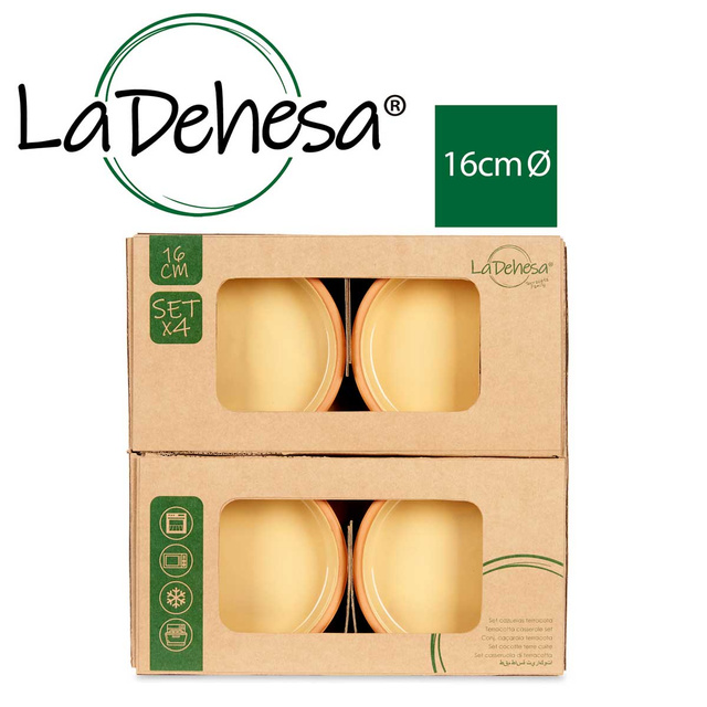 Vas de ceramica, vas cu interior vitrat