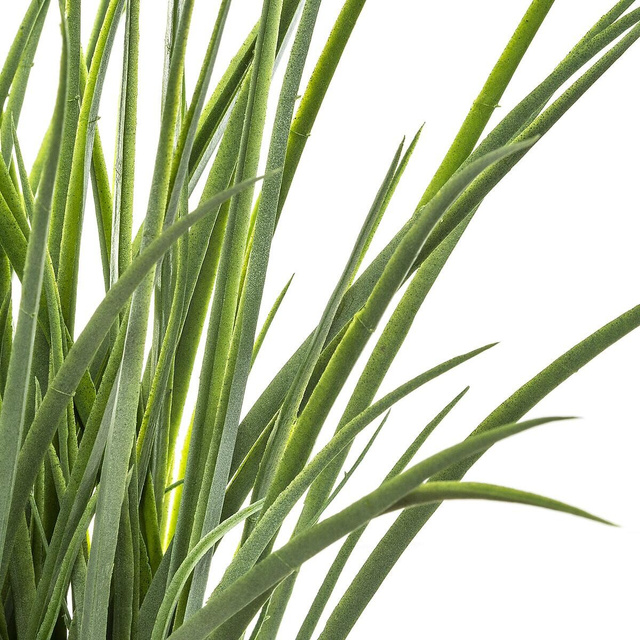 Iarbă artificială în ghiveci, 46 cm