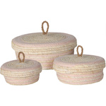 Recipiente de depozitare cu capac, 3 buc