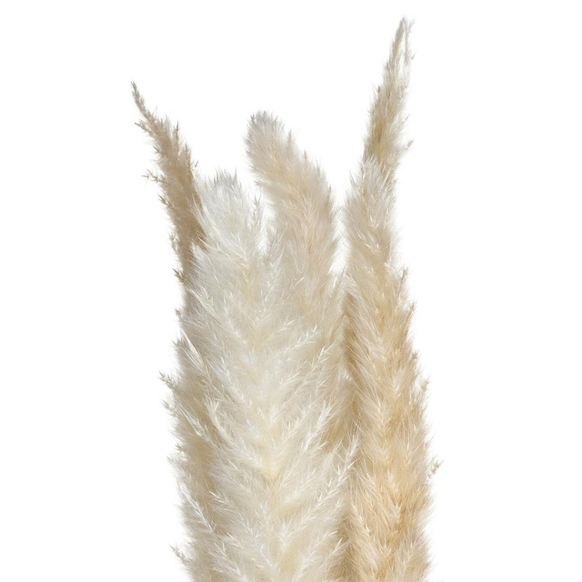 Decoratiune din iarba, 6 buc, 65 cm