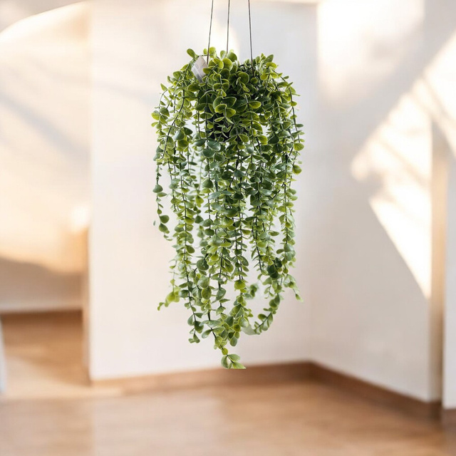 Plantă artificială suspendată Senecio, 60 cm