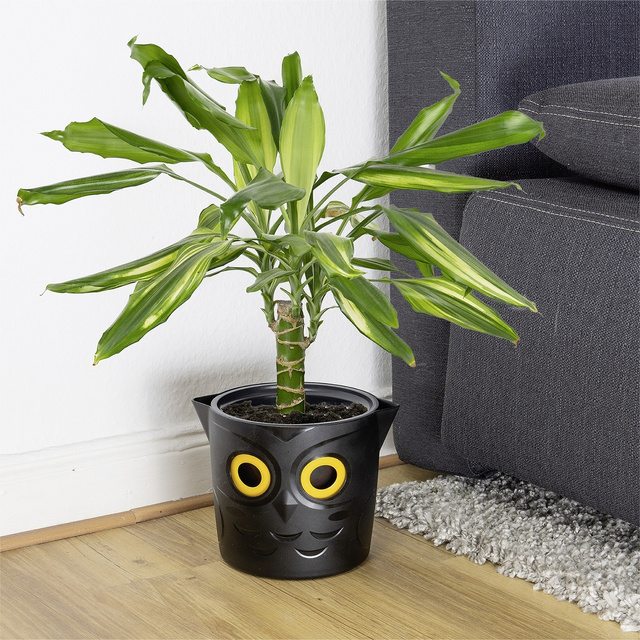 Ghiveci cu indicator de apa, Ø 18 cm