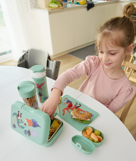 Sticla de apa DREAMS, 500 ml, KOZIOL