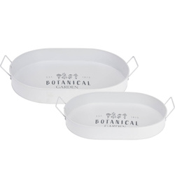 Tava pentru servire Botanical, cu manere late, metalica, 2 bucati