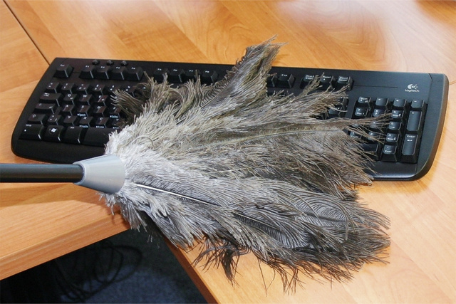 Pamatuf telescopic, din pene de strut