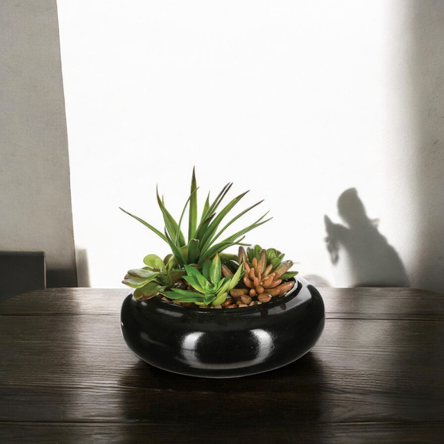 Plante artificiale, Ø 20 cm, o compoziție de plante suculente