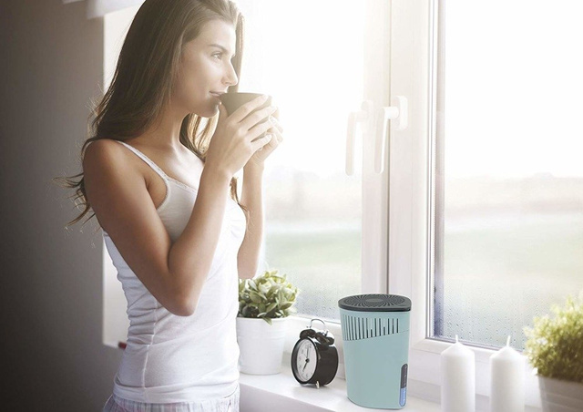 Un cartuș pentru dezumidificator cu parfum de portocala - formă de cilindru, 1 kg, WENKO