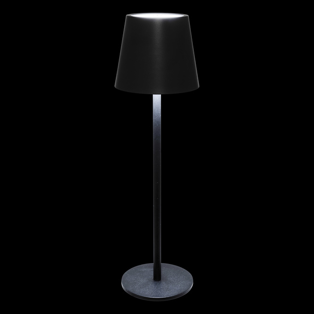 Lampa de exterior CODY, 36 cm