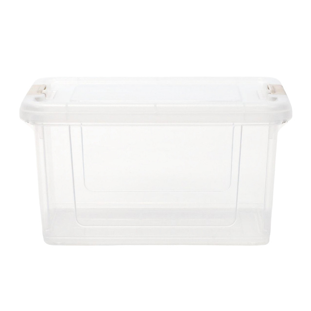 Cutie de depozitare transparenta, 22 x 15 x 12 cm