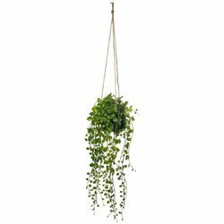 Planta artificiala agatata Peperomia, Ø 18 x 62 cm