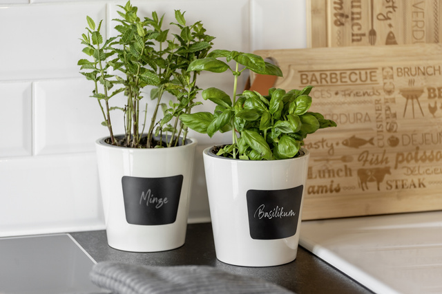 Ghiveci din ceramică WAIA, alb, ∅ 13, WENKO