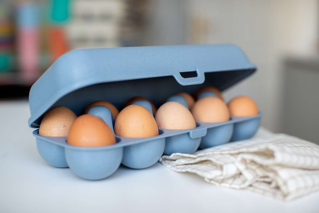 Recipient pentru ouă EGGS TO GO, pentru 10 ouă, KOZIOL