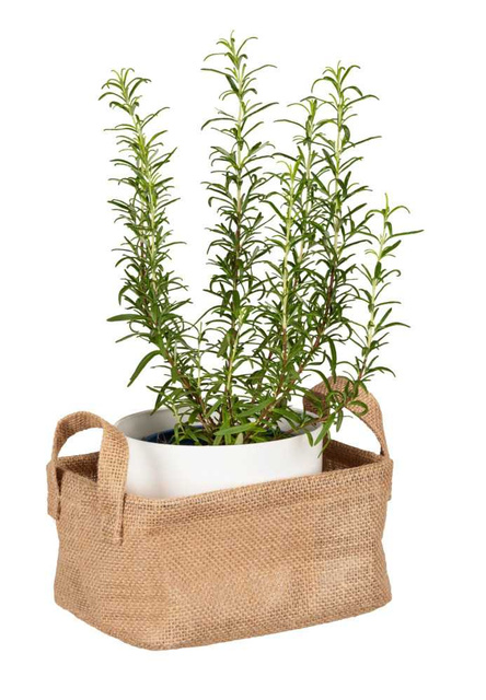 Cos depozitare JUNA cu manere, 100% iuta, WENKO