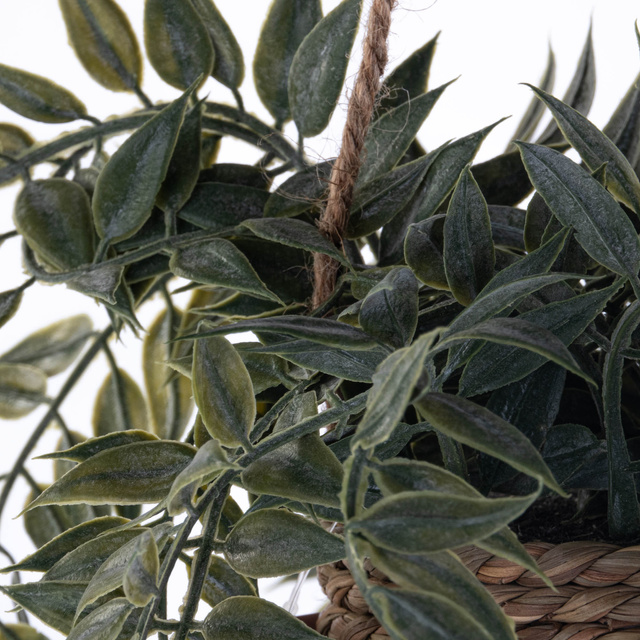 Plantă suspendată PATRI Ø 14 cm cu ghiveci din fibre naturale