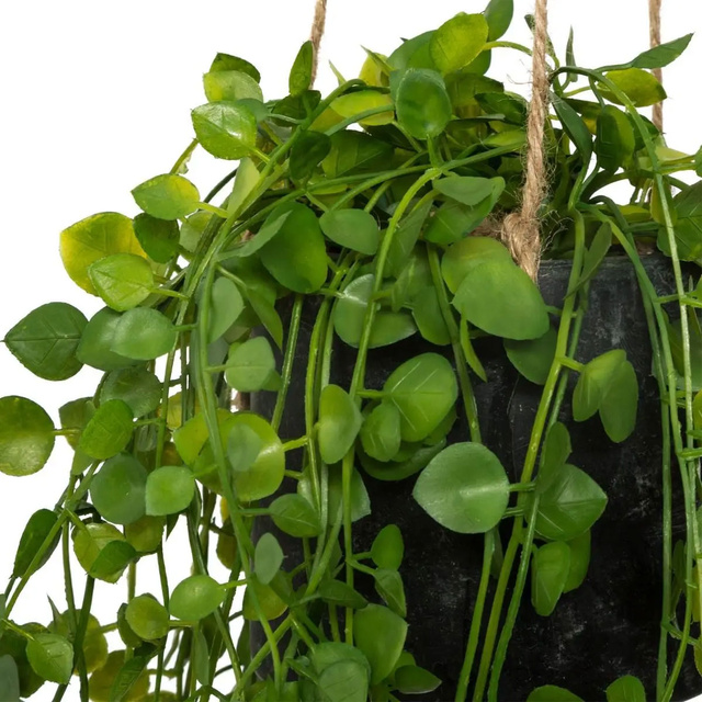 Planta artificiala agatata Peperomia, Ø 18 x 62 cm