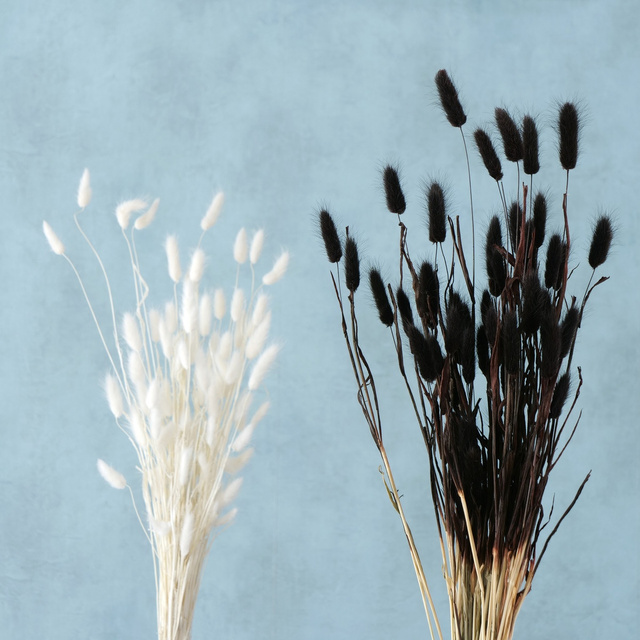 Crengute decorative pentru vaza, uscate, 70 cm