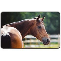 Tocator din plastic, 23 x 14 cm, Remember