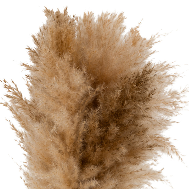 Compoziție cu iarbă de pampas GLEN în vază ceramică, înălțime 42 cm