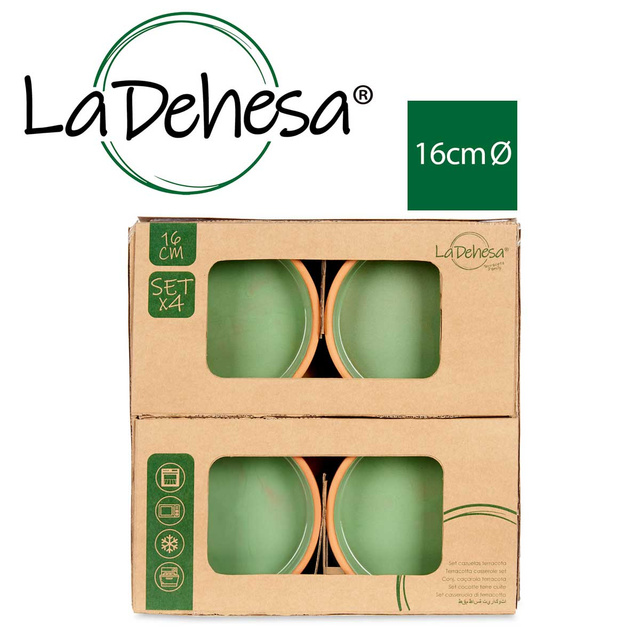 Vas de ceramica, vas cu interior vitrat