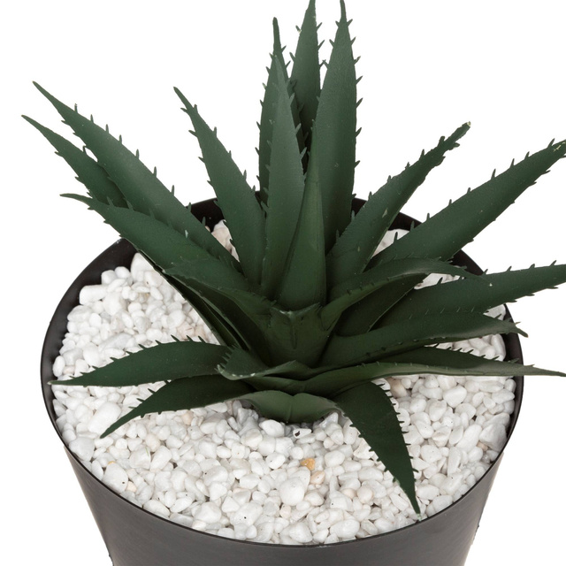 Plantă artificială FEEL, decor agățat în cadru, negru