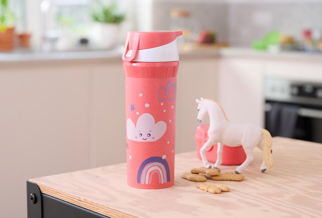 Sticla de apa DREAMS, 500 ml, KOZIOL