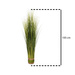 Iarba decorativa, Verde, 100 cm
