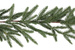 Ghirlandă decorativă, crenguțe de pin, 275 cm