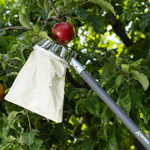 Culegator de fructe metalic cu sac de bumbac RIBIMEX