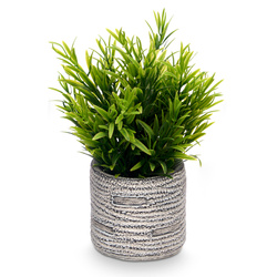 Suculent artificial în ghiveci cu dungi FEGREE, Ø 10 cm