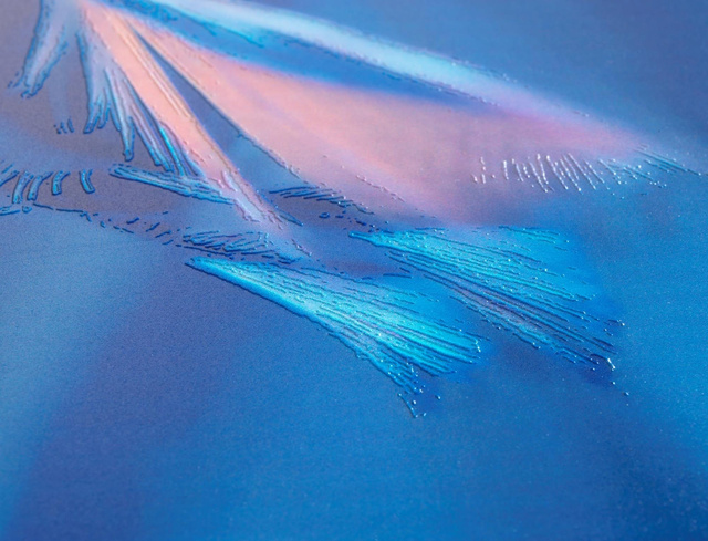 Capac WC cu funcție Easy Close SOFTNESS, Duroplast, WENKO