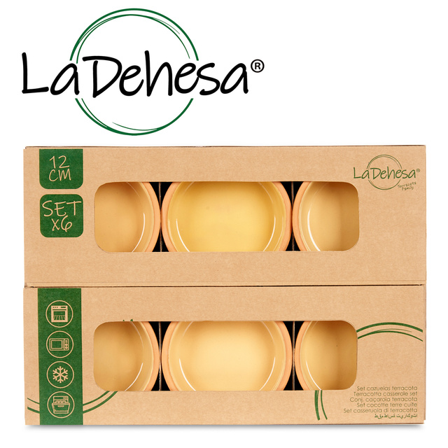 Vas de ceramica, vas cu interior vitrat