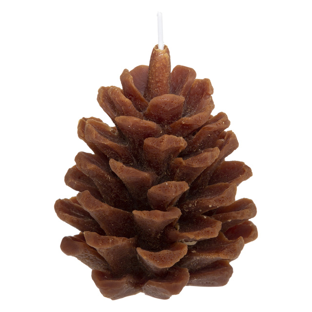 Set parfum WILD SCENT