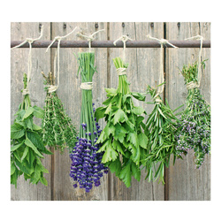 Placă de protecție din sticlă LAWENDA pentru aragaz – mare, ZELLER, model 10