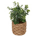 Eucalipt artificial JAYE în ghiveci ceramic, înălțime 27 cm
