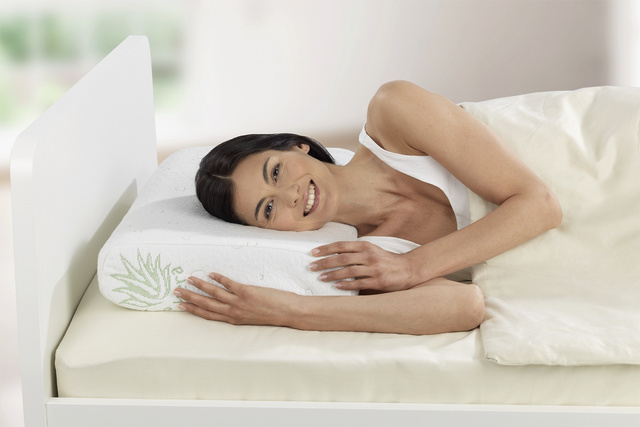 Perna Aloe-Vera, extract de aloe vera, 60 x 40 x 12 cm