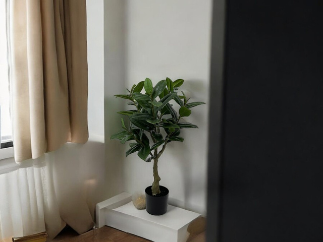 Planta artificială arbore de cauciuc, 69 cm