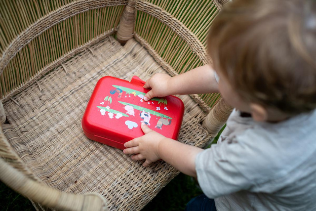 Cutie de prânz pentru copii CANDY L HARRY, bio, KOZIOL