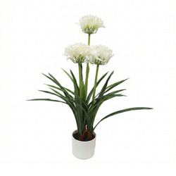 Floare artificială în ghiveci Agapant, 50 x 80 cm, albă