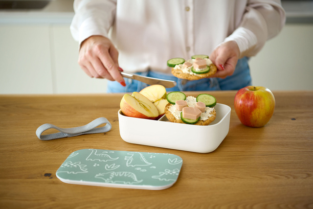 Cutie de pranz din plastic DINO, 19 x 12,5 x 6,5 cm