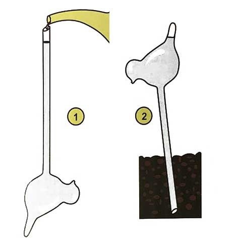 Irigator din sticlă pentru udarea plantelor PTAK - 2 bucăți în set