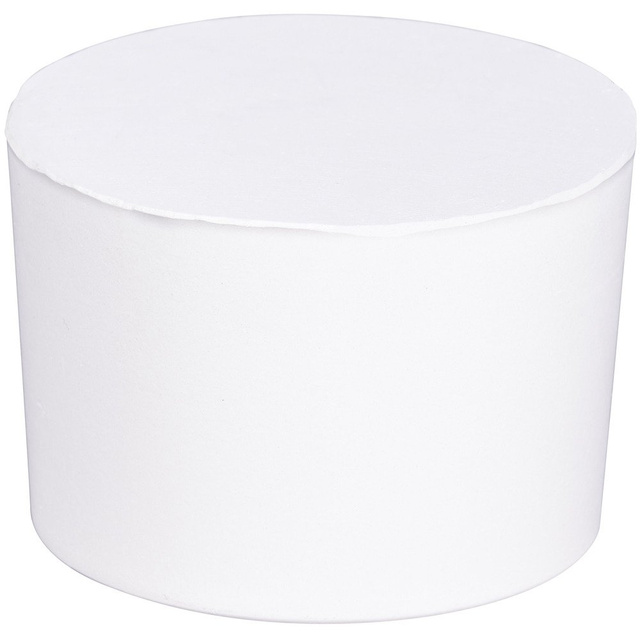 Cartuș pentru absorbant de umiditate 1000 g, pentru zone 80 m³